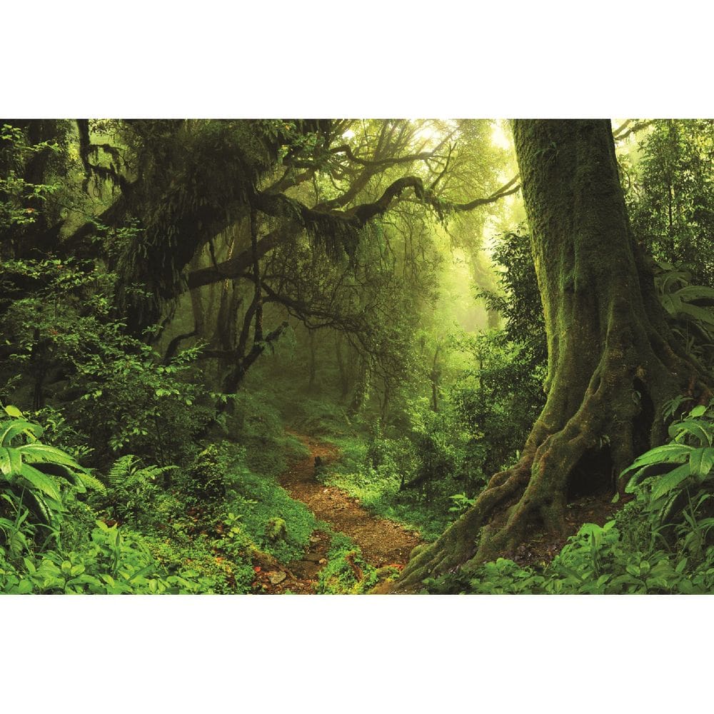 Fundo Fotográfico Em Tecido Floresta Verde 2,20X1,50.