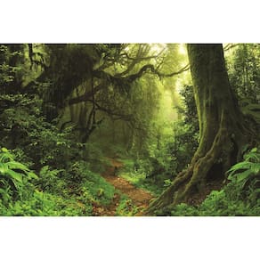 Fundo Fotográfico Em Tecido Floresta Verde 2,80X1,50.