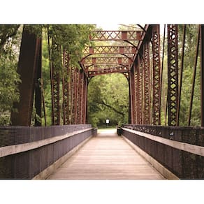 Fundo Fotográfico Em Tecido Ponte 2,20X1,50