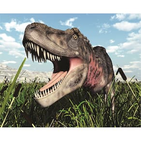 Fundo Fotográfico Em Tecido Dinossauro 2,60X1,50.