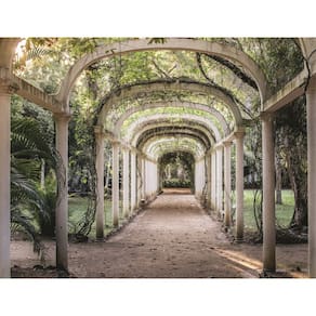 Fundo Fotográfico Em Tecido Jardim Arvore 2,80X1,50