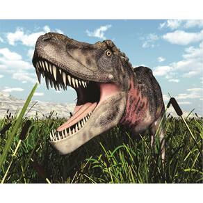 Fundo Fotográfico Em Tecido Dinossauro 2,20X1,50.