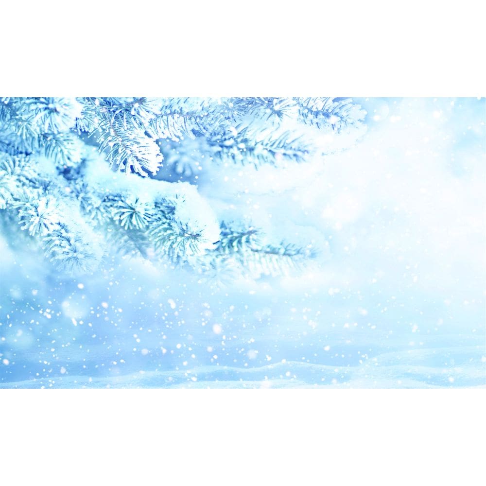 Fundo Fotográfico Em Tecido Neve 2,80X1,50