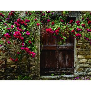 Fundo Fotográfico Em Tecido Muro De Rosa 2,60X1,50