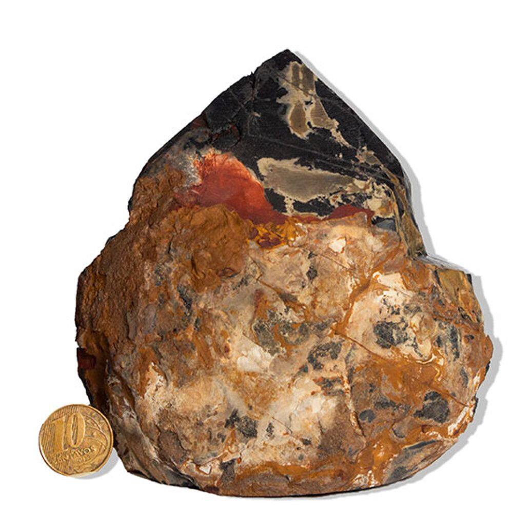 01 Ônix Preto Pé e Bico Serrado 1 a 2Kg 10 a 12cm Tipo B