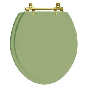 Assento Sanitario Poliéster Convencional Oval Verde Malva para vaso Deca com Ferragem Dourada