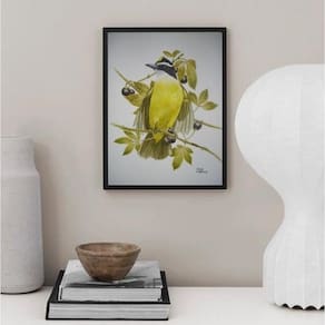 Quadro Decorativo Passarinho Bem Te Ví 33X24Cm