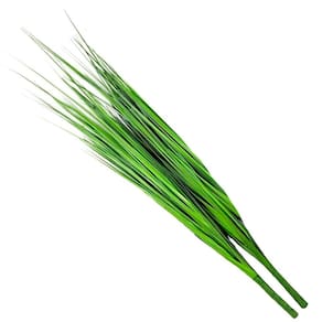 Kit 6 Folhagens Capim Verde Artificial 78cm