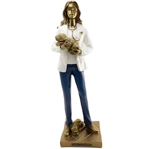 Escultura Decorativa Médica Veterinária Cachorro Gato 24cm