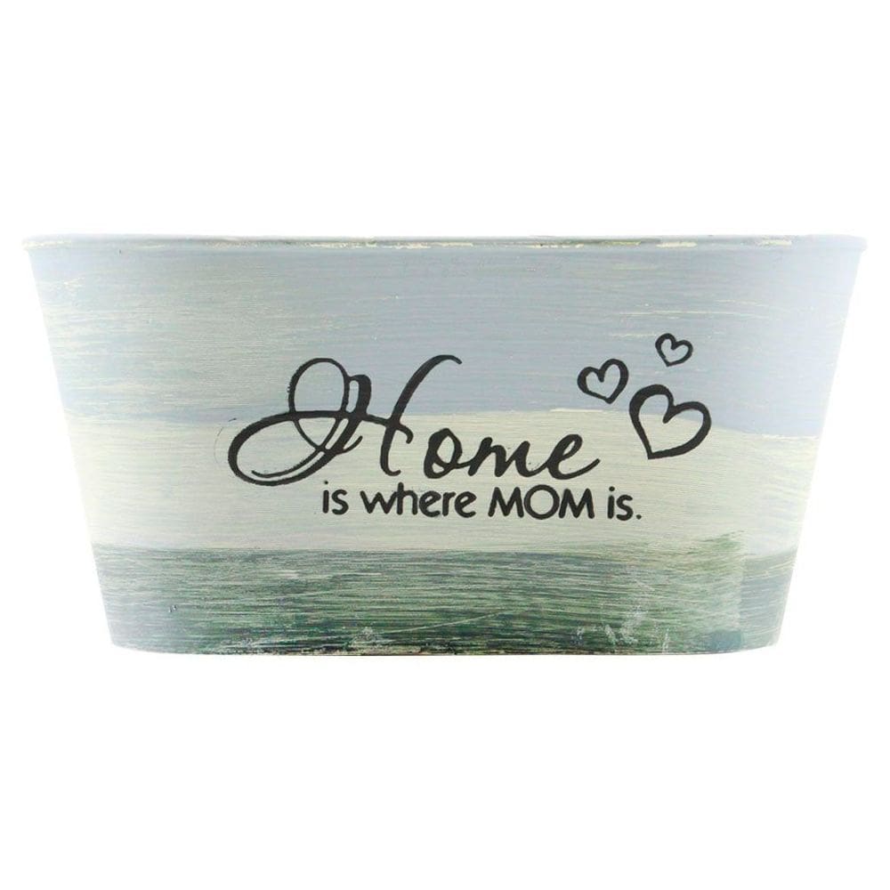 Kit 6 Mini Vasos De Planta Cachepot Estampados Decorados 9cm