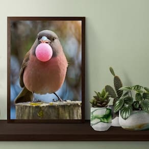 Quadro Passarinho Bubble Gum 33X24Cm - Com Vidro