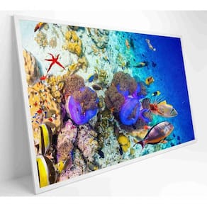 Quadro Peixes Coloridos Fundo Do Mar Medidas 90x60 Cm Impressão Tecido Canvas