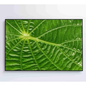 Quadro Folha Floresta Amazônica Medidas 90x60 Cm Impressão Tecido Canvas