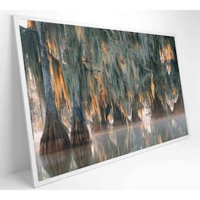 Quadro árvores De Ciprestes No Lago Martin Medidas 60x40 Cm Tipo De Impressão Adesivo Fotográfico