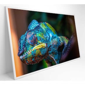 Quadro Camaleão Cores Vibrantes Medidas 90x60 Cm Impressão Vidro Acrílico