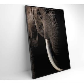 Quadro Natureza Elefante Africano Medidas 40x60 Cm Impressão Vidro Acrílico