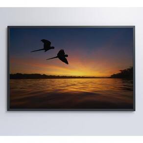 Quadro Por Do Sol No Pantanal Medidas 60x40 Cm Impressão Vidro Acrílico