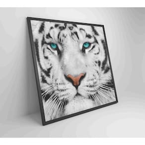 Quadro Tigre Branco Medidas 60x60 Cm Impressão Adesivo Fotográfico