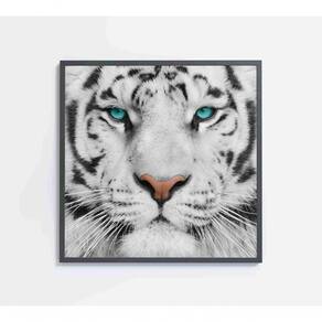Quadro Tigre Branco Medidas 60x60 Cm Impressão Tecido Canvas