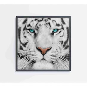 Quadro Tigre Branco Medidas 40x40 Cm Impressão Vidro Acrílico