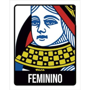 Kit 10 Placas De Banheiro Baralho Feminino 36X46