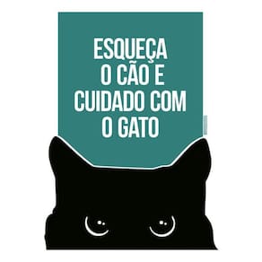 Kit 3 Placas Esqueça Cão Cuidado Com Gato 36X46