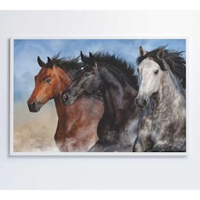 Quadro Cavalos Correndo Medidas 60x40 Cm Impressão Tecido Canvas