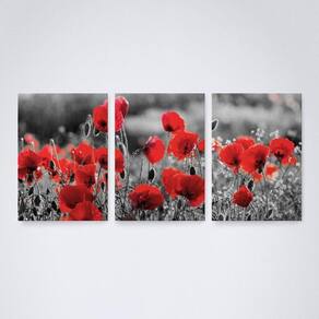Quadro Flores Vermelhas 30x20cm - Elegância e Qualidade