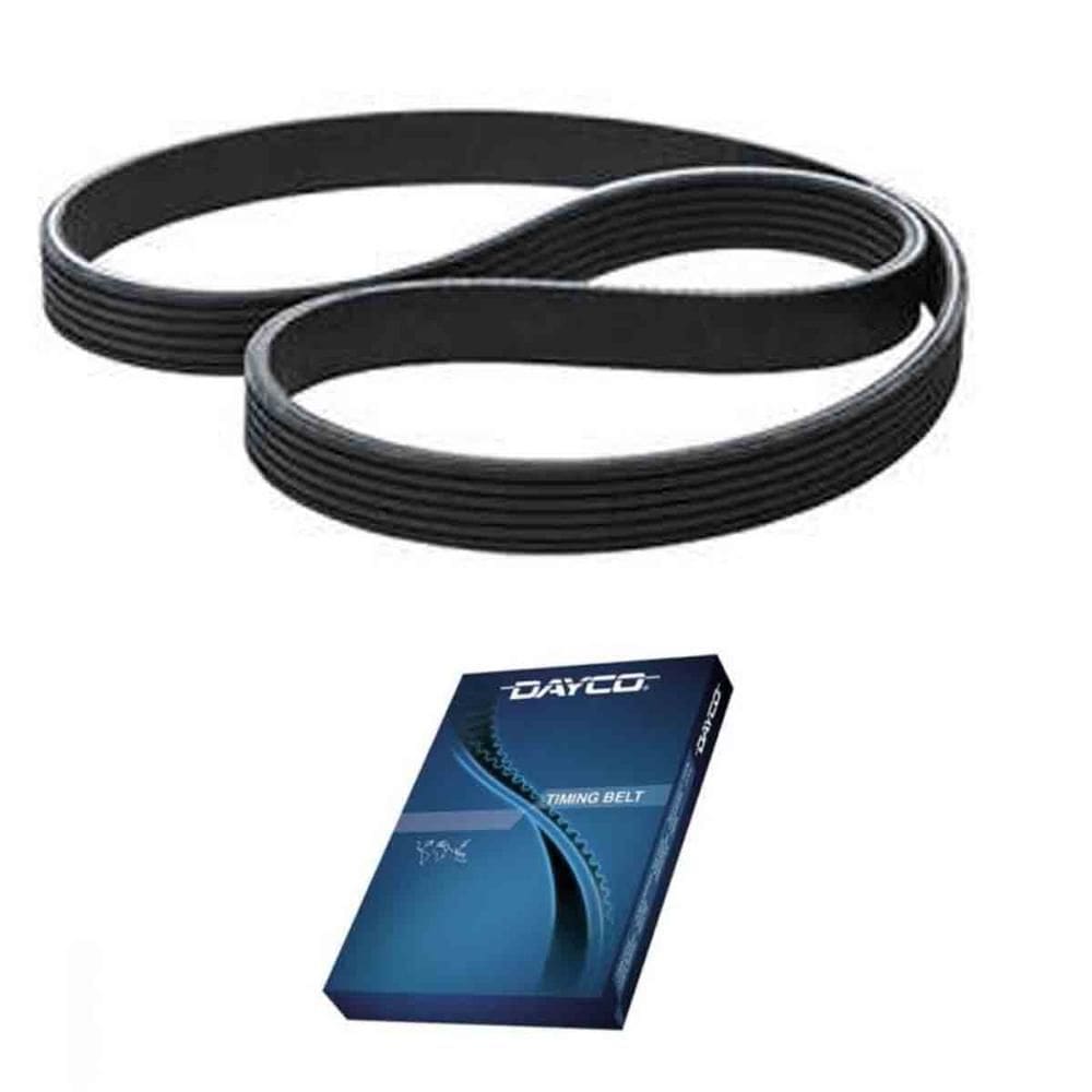 Correia Frisada Z4 2003 a 2024 6PK1450 Dayco