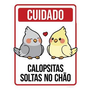 Kit 10 Placas Cuidado Calopsitas Soltas Chão 36X46