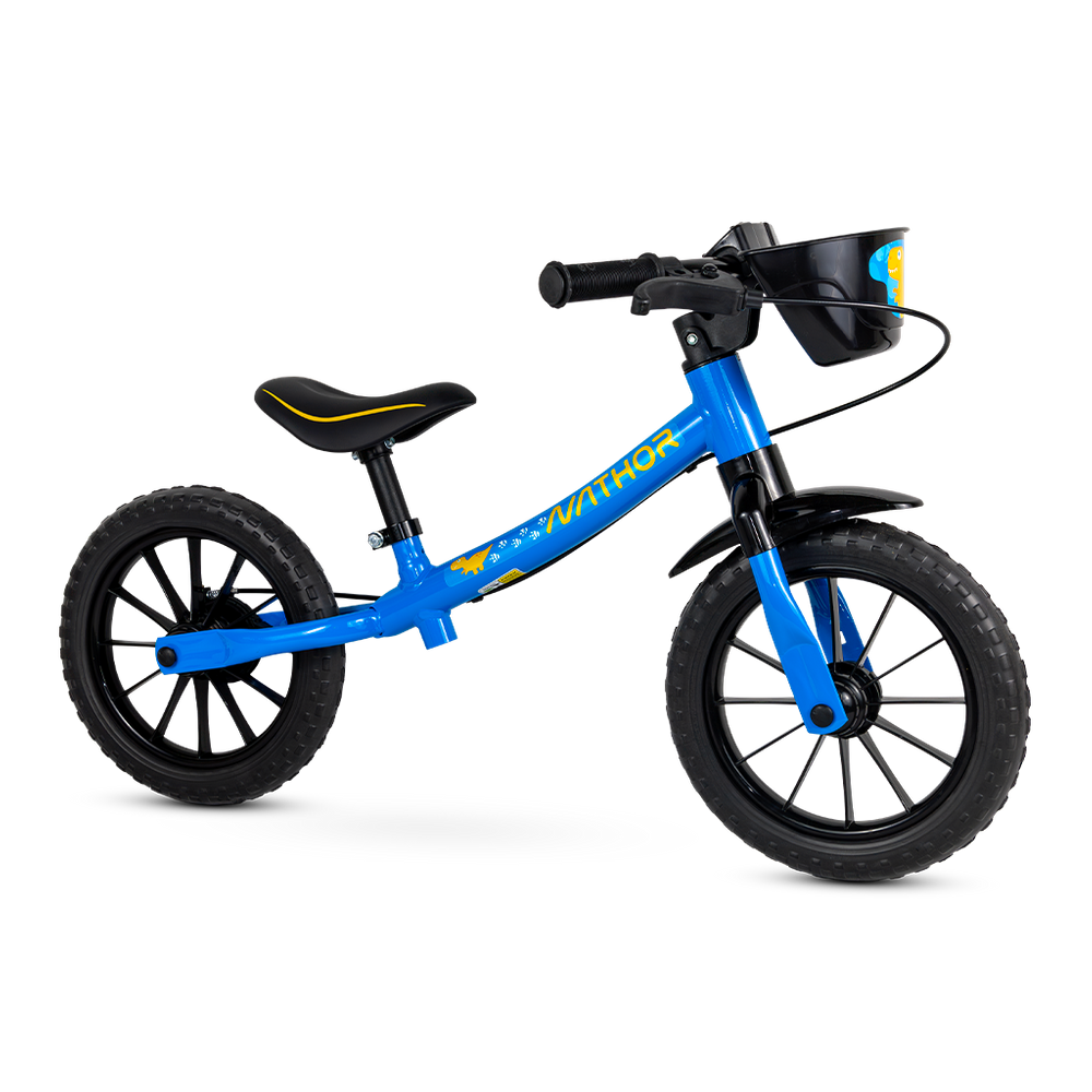 Bicicleta Balance Bike Masculina Mod 5