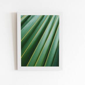 Quadro Canvas Planta Verde Moldura Branca 60x40cm