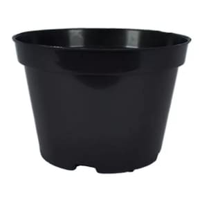 Potes 13 Cactos E Suculentas Preto 725 Ml - 100 Un
