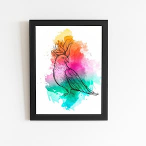 Calopsita Aquarela Pássaro Ave Quadro Moldura Preta 60X40Cm