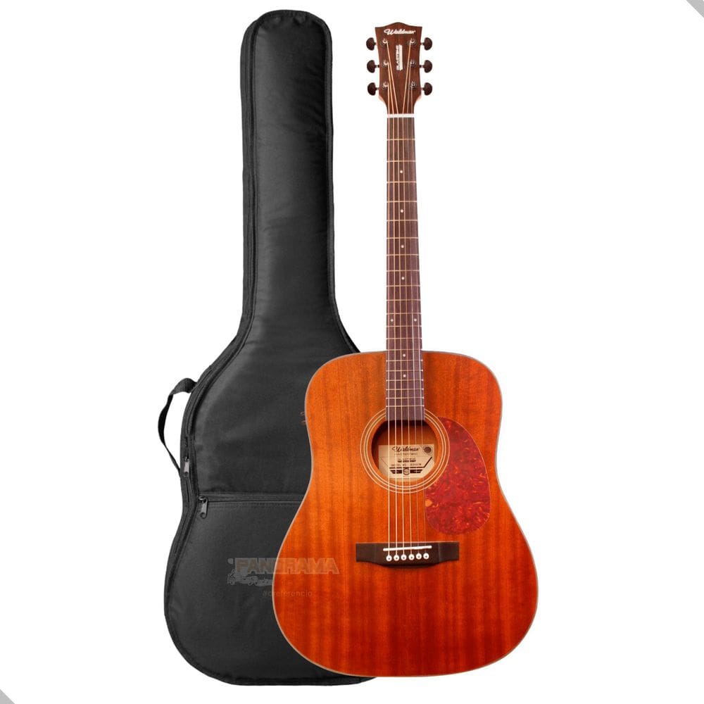 Violão Folk Aço Eletrico Waldman Dex441 N Natural + Capa