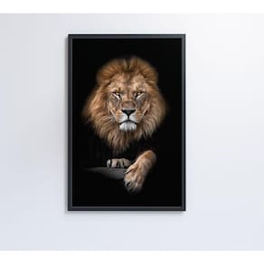 Quadro Leão Em Fundo Preto Medidas 60x90 Cm Impressão Tecido Canvas