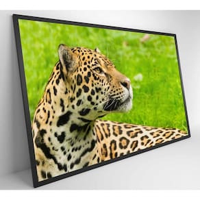 Quadro Onça Pintada No Pantanal Medidas 120x80 Cm Tipo De Impressão Tecido Canvas