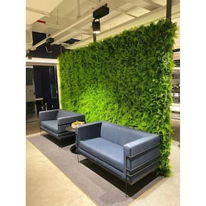 Plantas Jardim Vertical Decorativa Protecao Uv