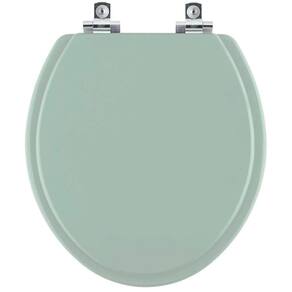Assento Sanitário com Fechamento Lento Convencional Oval Verde Claro para vaso Icasa