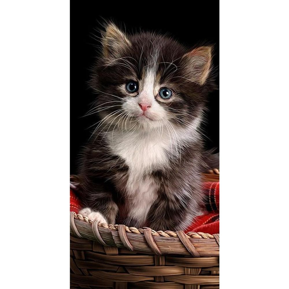 Toalha De Praia Buettner Veludo Estampada Cat Along Marrom