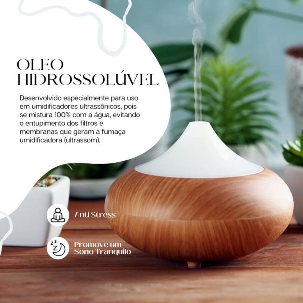 Kit Box 10 Óleos Hidrossolúvel 10Ml - Escolha O Seu Aroma