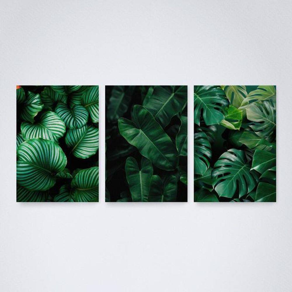 Quadro Decorativo Plantas Verdes 30x20cm - Elegância