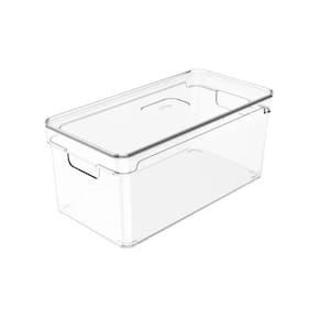 Organizador Clear com tampa 30x15x13cm Natural - Ou
