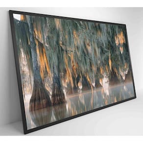 Quadro árvores De Ciprestes No Lago Martin Medidas 90x60 Cm Impressão Tecido Canvas