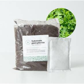 Kit Rúcula SANCHZ | Cultivo Fácil | Sabor Picante | Nutritivo