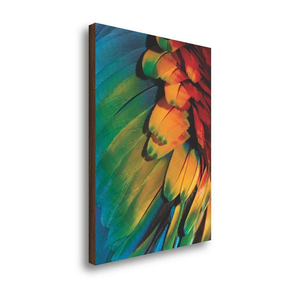 Quadro Decorativo Assas Coloridas 50X70Cm