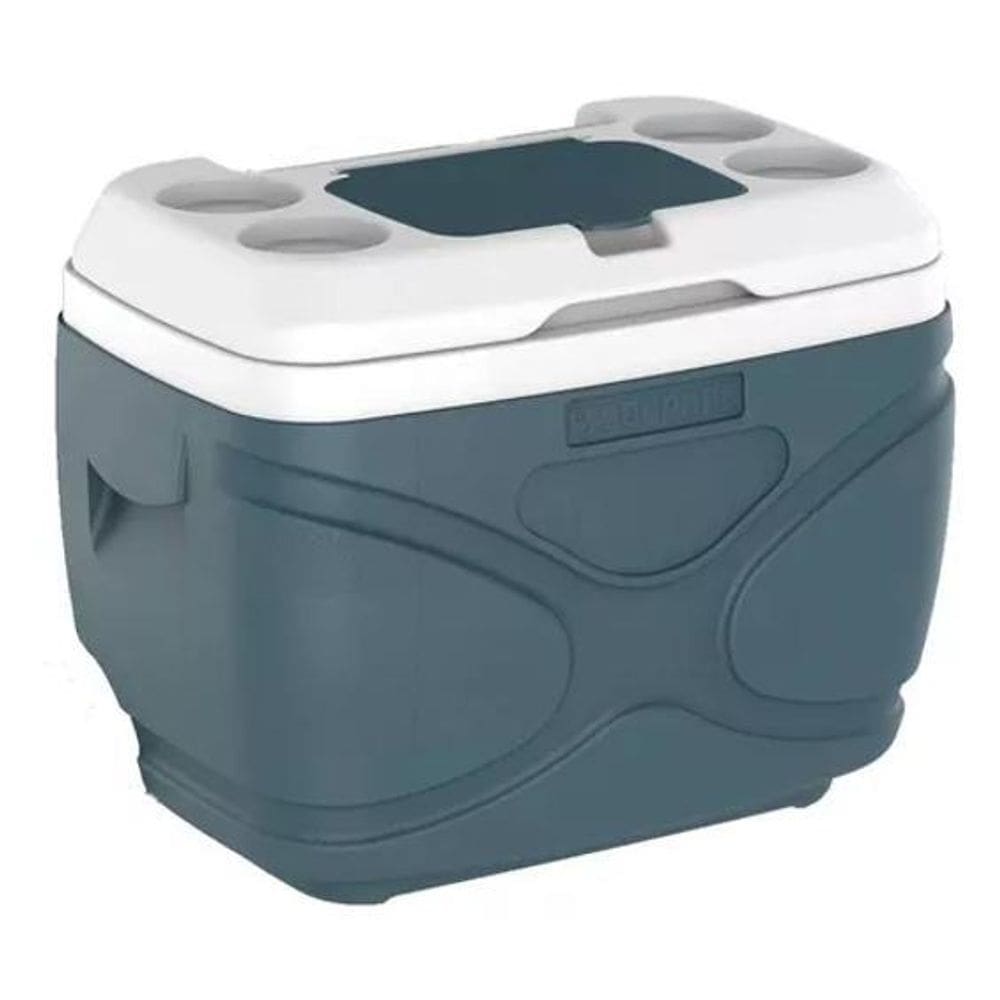 Caixa Termica Everest 30L Cinza