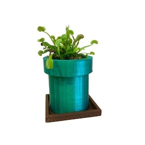 Vaso Suculentas - Tubo Modelo Mario Brother Retro