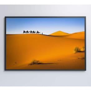 Quadro Camelos Deserto Saara Medidas 60x40 Cm Tipo De Impressão Adesivo Fotográfico