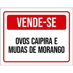 Kit 3 Placas Sinalização Vende-Se Ovos Caipira Mudas Morango